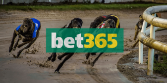 bet365 greyhound racing