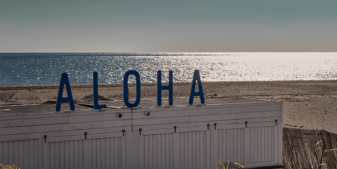 Hawaii gambling