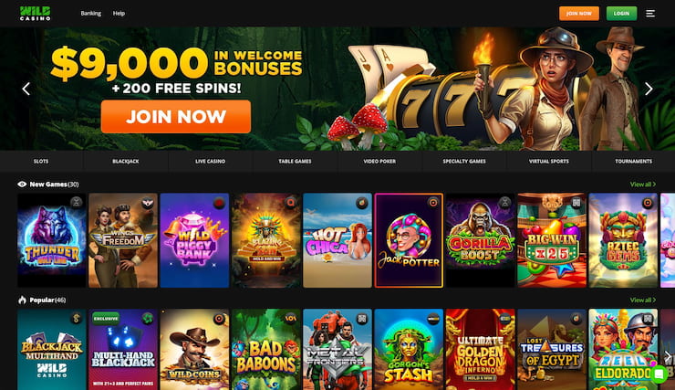 A snapshot of Wild Casino's selection of online casino games