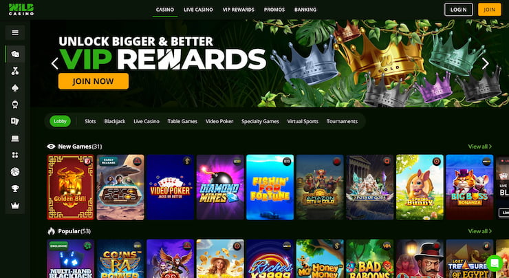 A snapshot of wild casino's home page 