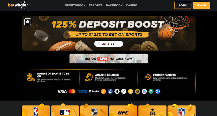 A snapshot of betwhale sportsbook's home page