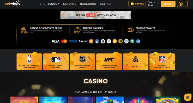 A snapshot of BetWhale Sportsbook