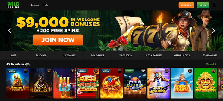 Wild Casino's game selection including welcome bonus offer.
