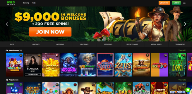 A snapshot of Wild Casino