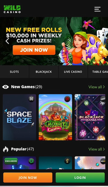 Wild Casino homepage