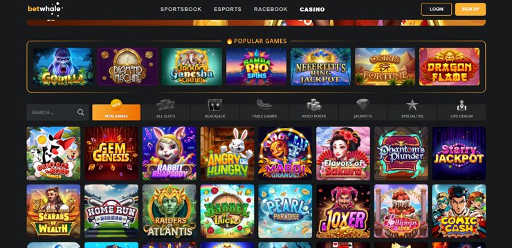 A snapshot of BetWhale Casino