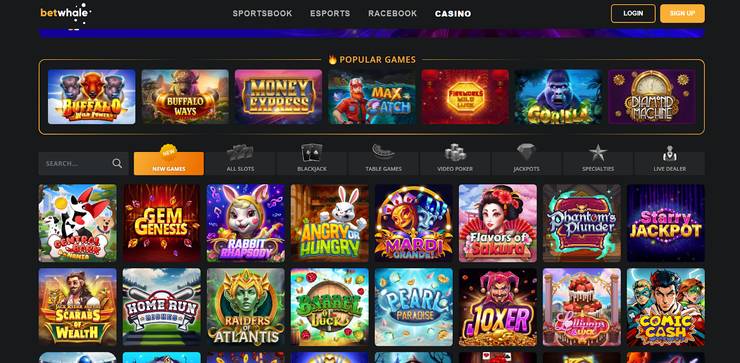 A snapshot of BetWhale Casino