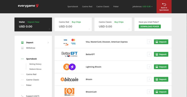 A snapshot of the deposit page at Everygame Sportsbook