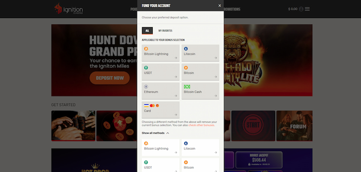 An image of the deposit page on the Ignition Casino poker site.