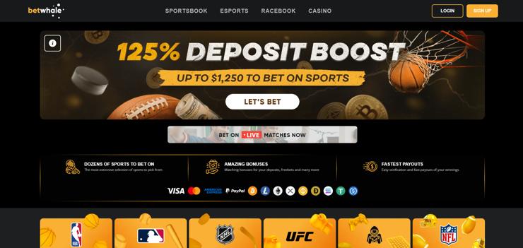 A snapshot of BetWhale Casino