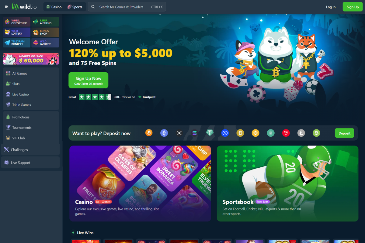 wild.io casino homepage 