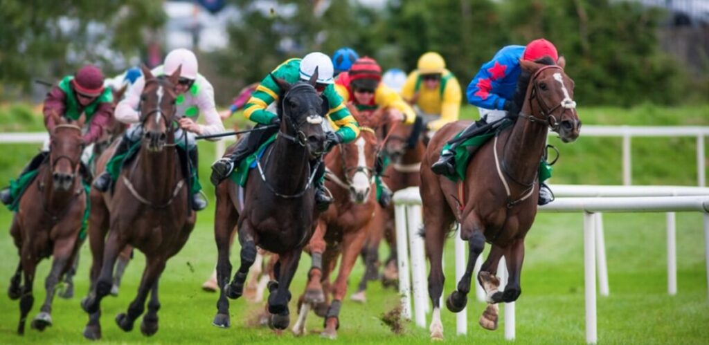 BHA Demands Separate Horse Racing Betting Tax, Fearing Losses Of Up To £160m