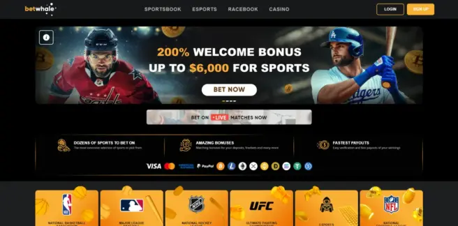 BetWhale Sports – Best for Offshore Crypto Sports Betting and Fast Withdrawals