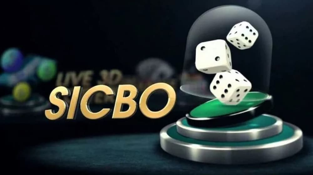 chỉ cược vào Tài hoặc Xỉu nếu đang ra đều