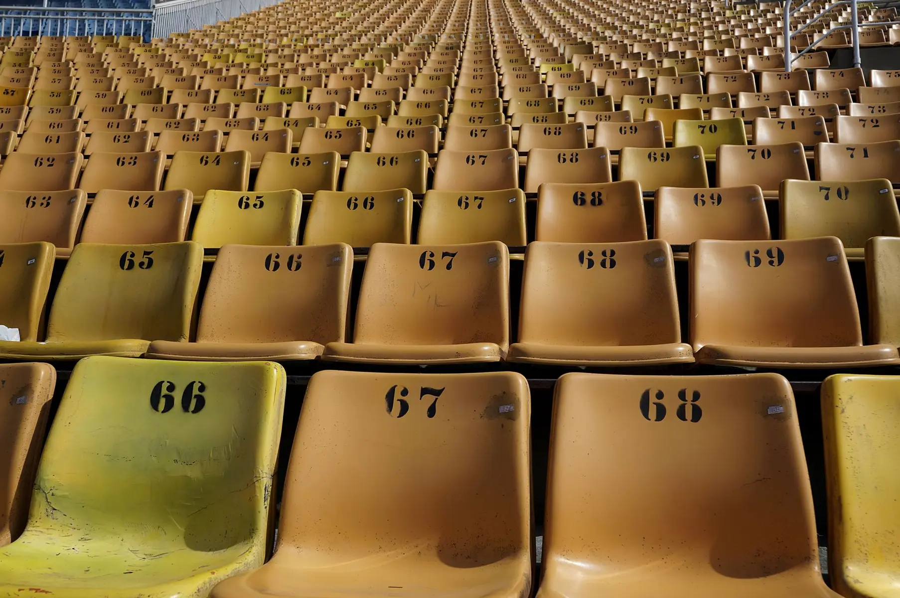 Rows of yellow plastic stadium seats with black identification numbers