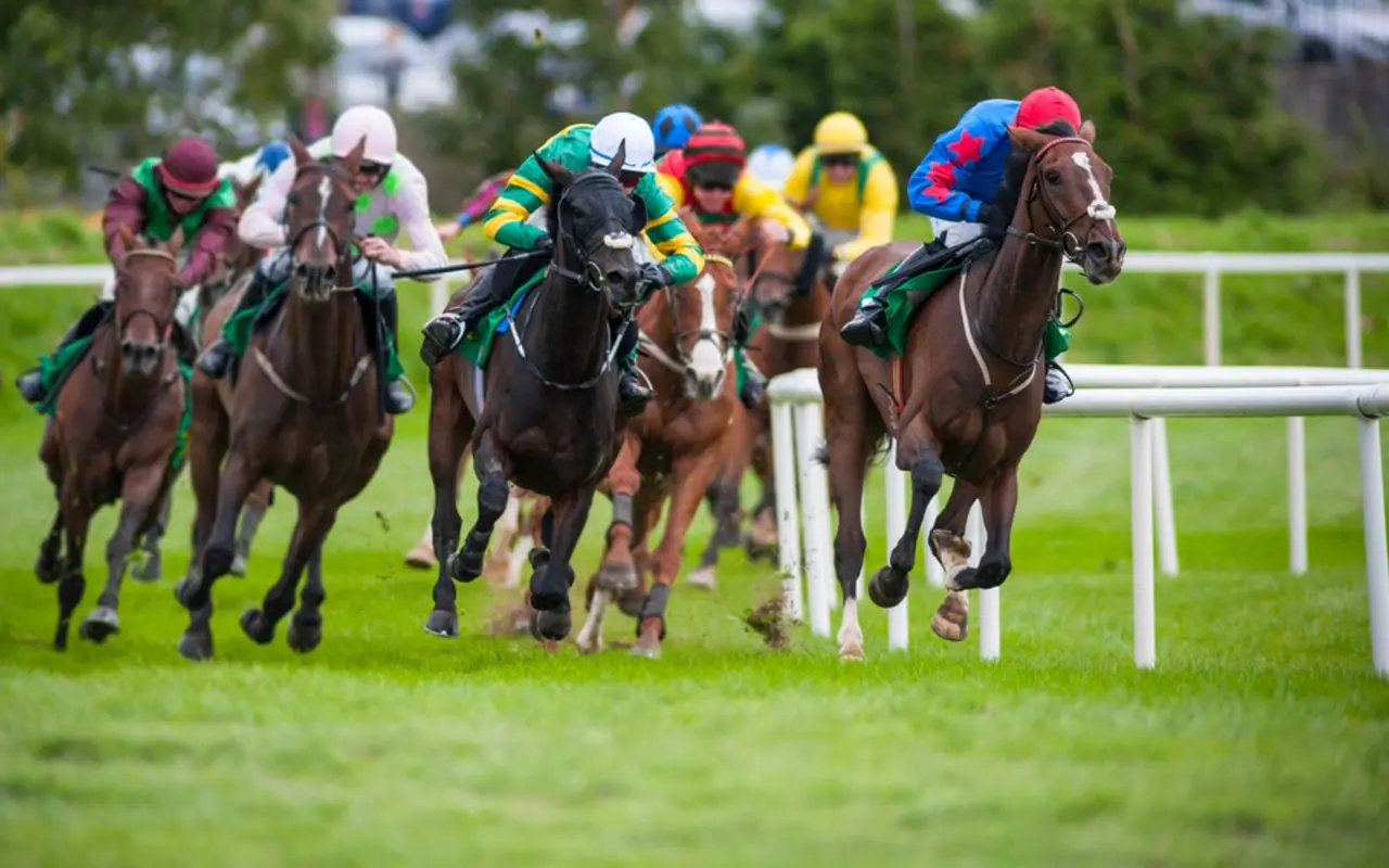 A group of jockeys in colorful silks racing thoroughbred horses on a green grass track